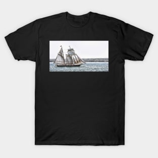 Tantalizing Breeze T-Shirt